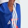 Мужские шорты House of Tiro Nations Pack Adidas JN2573, прев. 4
