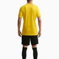 Футболка Nike M DF PARK26 SS TOP DS-HM7127-719, прев. 1