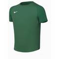 Футболка Nike Dri-FIT Academy II Junior HV8168-302, прев. 0