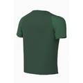 Футболка Nike Dri-FIT Academy II Junior HV8168-302, прев. 1