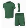 Детский спортивный комплект Nike Dri-Fit Park VIII зеленый HV8260-302, прев. 0