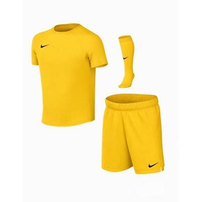 Дитячий спортивний комплект Nike Dri-Fit Park VIII жовтий HV8260-719