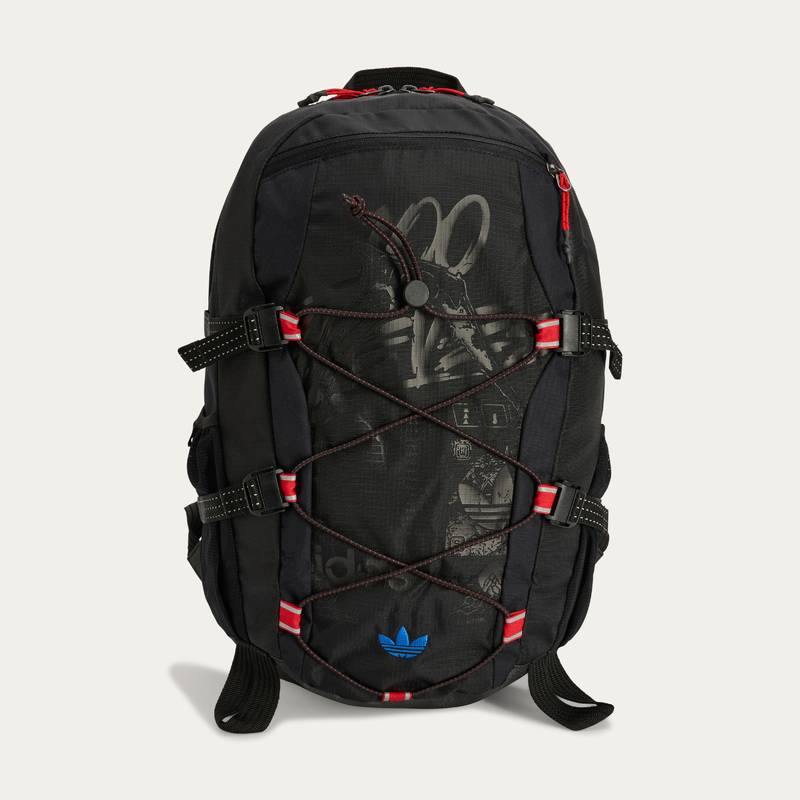 Рюкзак Adidas 100t Backpack DS-JN3718, рис. 0