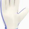 Воротарські рукавиці Nike NK GK MATCH JR - HO24 DT-HQ0258-494, прев. 2