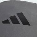 Рюкзак Adidas CLSC PCASE BP 23,25L DT-JD3092, прев. 5