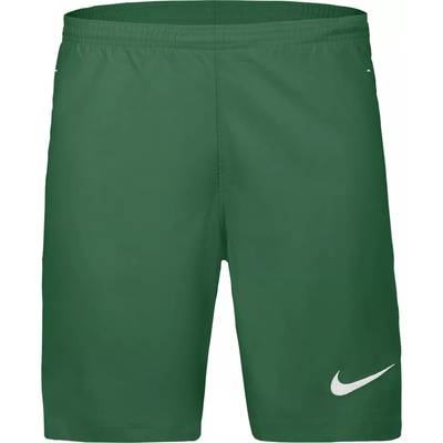 Детские шорты Nike Laser VI HV8249-302