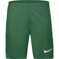 Детские шорты Nike Laser VI HV8249-302, прев. 0