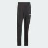 Джогери чоловічі Multi Essentials Stretch TERREX Adidas JP0811, прев. 6