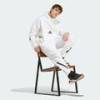 Спортивные мужские штаны New Z.N.E. Sportswear Adidas JF2449, прев. 3