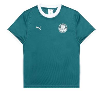 Футболка PUMA x PALMEIRAS Ringer Tee DS-629533-43