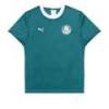 Футболка PUMA x PALMEIRAS Ringer Tee DS-629533-43, прев. 0