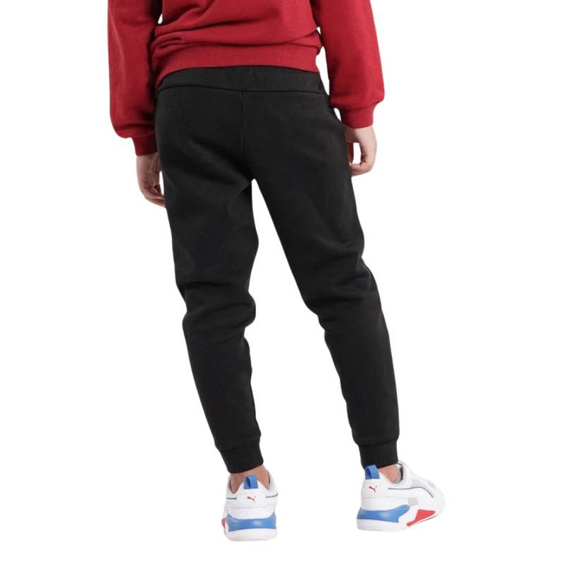 Штани Puma ESS Logo Pants FL cl B DS-586973-01, рис. 1