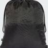 Рюкзак-мішок Adidas LINEAR GYMSACK 13,25L DT-JE8342, прев. 1