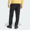 Спортивні штани чоловічі Terrex Multi Essentials Fleece Adidas KE3444, прев. 1