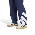 Штани чоловічі Adicolor Blocked Adidas KE0871, прев. 3