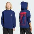 Худи детское MARVEL SPIDER-MAN Sportswear Adidas KE2035, прев. 1