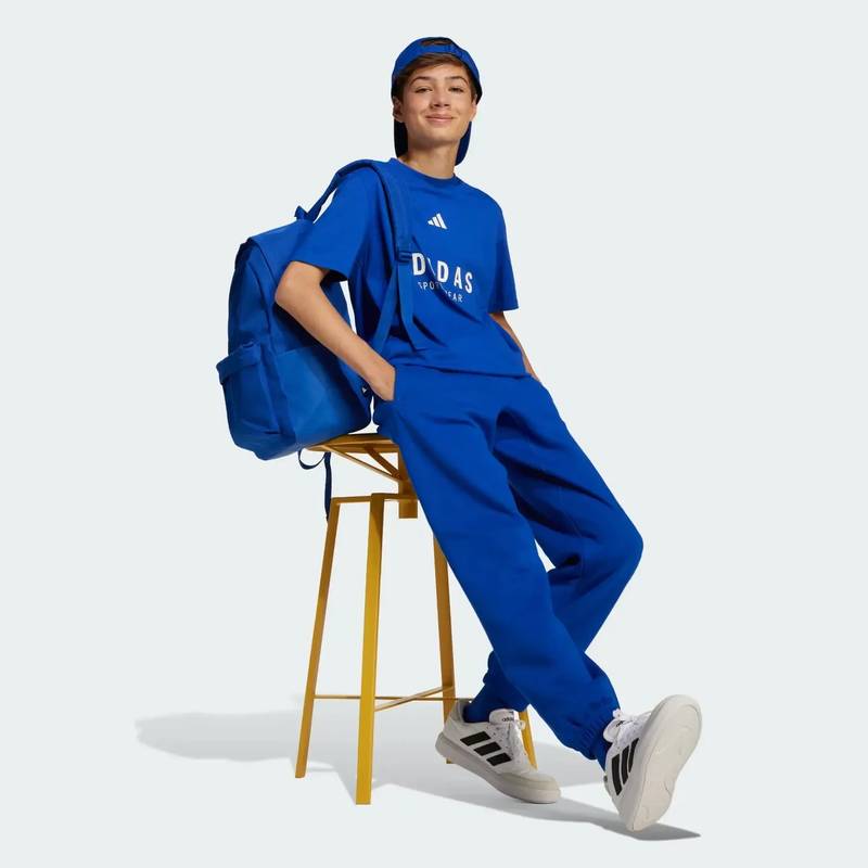 Брюки детские J All Season GFX Adidas JC7613, рис. 4