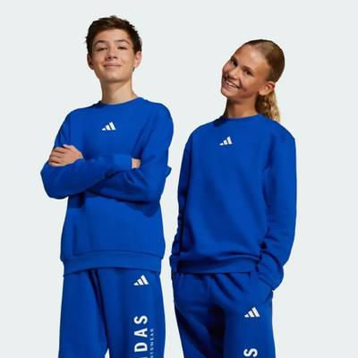 Свитшот детский All SZN Graphic Crew Kids Sportswear Adidas JC7617