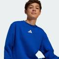 Світшот дитячий All SZN Graphic Crew Kids Sportswear Adidas JC7617, прев. 3