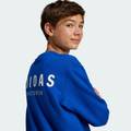 Світшот дитячий All SZN Graphic Crew Kids Sportswear Adidas JC7617, прев. 4