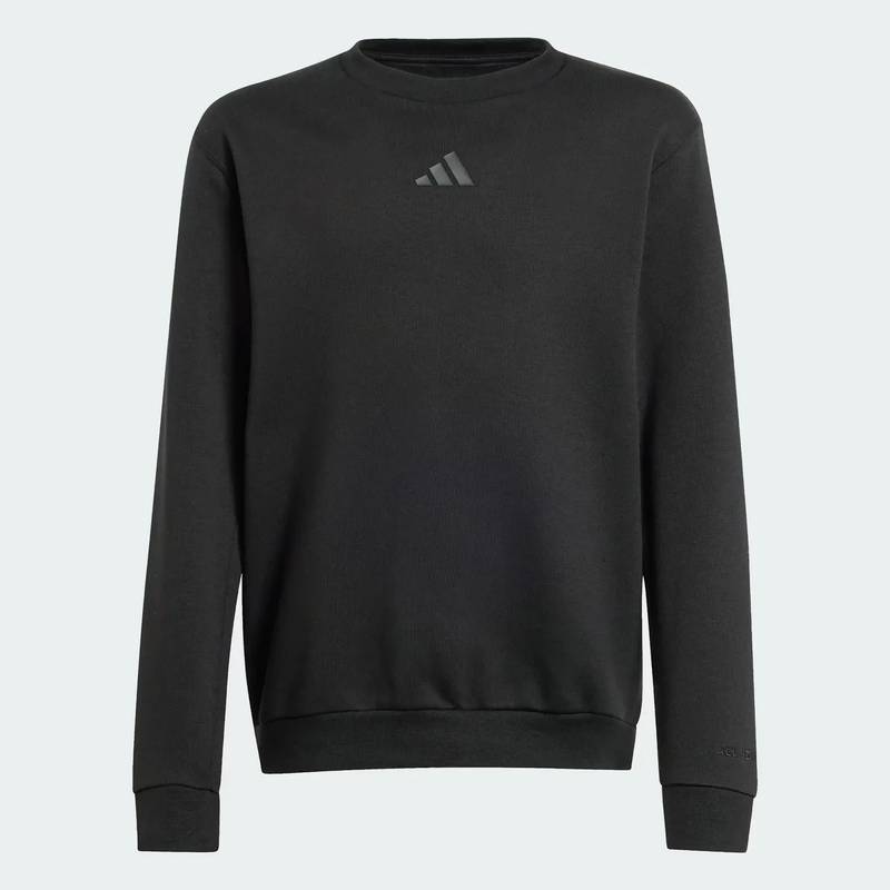 Світшот дитячий All SZN Graphic Adidas JI6166, рис. 0