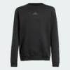 Свитшот детский All SZN Graphic Adidas JI6166, прев. 0