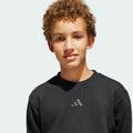 Світшот дитячий All SZN Graphic Adidas JI6166, прев. 5