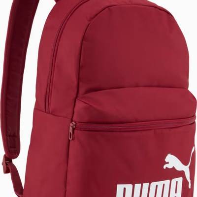 Рюкзак Puma Phase Backpack 22L DT-091164-46