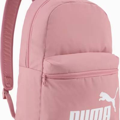 Рюкзак Puma Phase Backpack 22L DT-091164-40