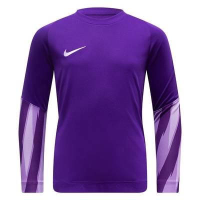 Футболка з довгими рукавами Nike Dri-FIT V Goalkeeper HV8314-507