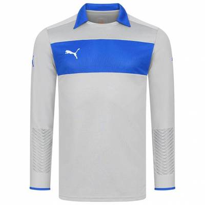 Воротарська футболка PUMA PowerCat 701201-11