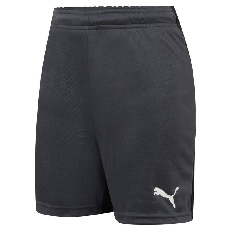 Спортивные детские шорты PUMA Swim Essentials 836613-27, рис. 0