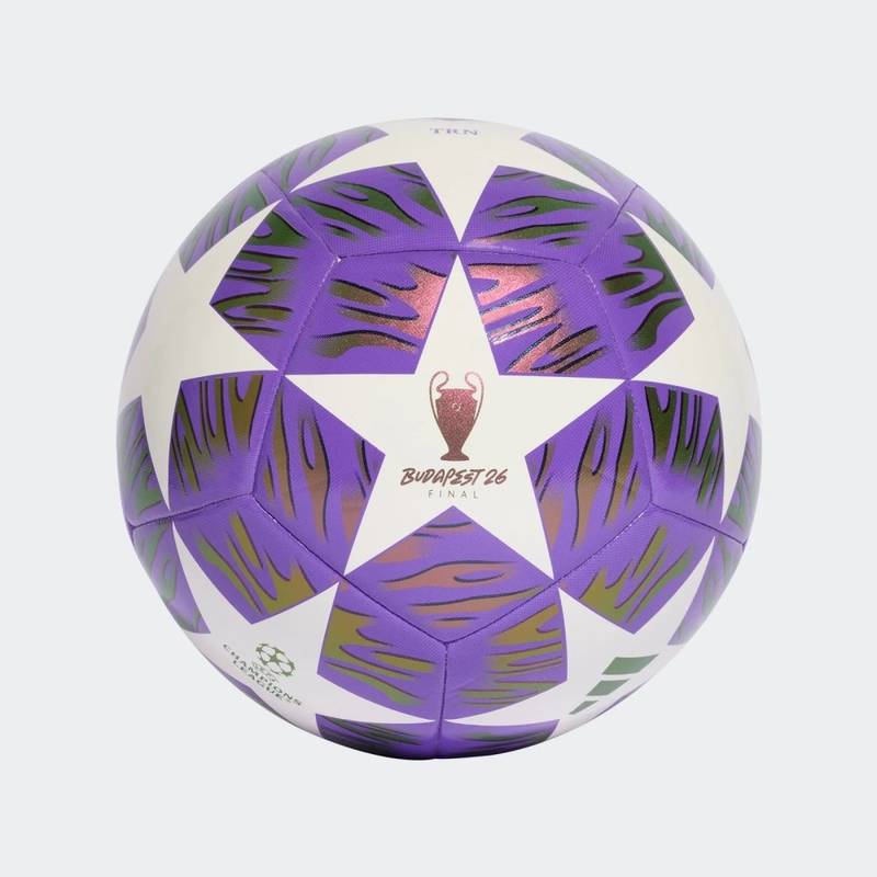 М'яч футбольний Adidas Finale / UCL Training Budapest DS-JX9089, рис. 0