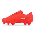 Дитячі футбольні бутси Nike Zoom Mercurial Vapor 17 Club FG/MG IU1827-600, прев. 1