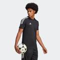 Чоловіча футболка Tiro 23 Club Adidas HS9531, прев. 2