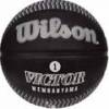 М'яч баскетбольний Wilson NBA PLAYER ICON OUTDOOR BSKT VICTOR size 7 DT1-WZ3017801XB7, прев. 0