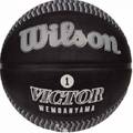 М'яч баскетбольний Wilson NBA PLAYER ICON OUTDOOR BSKT VICTOR size 7 DT1-WZ3017801XB7, прев. 0