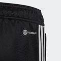Дитячі штани Tiro 23 Club Adidas HS3620, прев. 6