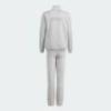 Костюм детский ALL SZN Graphic Track Suit Kids Adidas IS4658, прев. 1