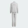 Костюм дитячий ALL SZN Graphic Track Suit Kids Adidas IS4658, прев. 1