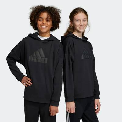 Худі дитяче Future Icons Logo Sportswear Adidas HR6301