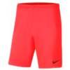Спортивні ігрові шорти Nike Park III BV6855-635