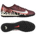 Сороконіжки чоловічі Nike Mercurial Zoom Vapor 16 Academy Nu3 Bordo/Beige IO9328-661, прев. 0