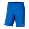 Детские шорты NIKE PARK III BV6865-463