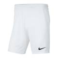 Дитячі шорти NIKE PARK III BV6865-100