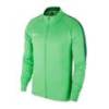 Джемпер тренировочный детский Nike JR Academy 18 Track Jacket 893751-361, прев. 0