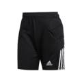 Вратарские шорты Adidas Tierro FT1454, прев. 0