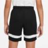 Детские шорты Nike Academy 21 CW6109-010, прев. 2