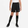 Детские шорты Nike Academy 21 CW6109-010, прев. 0