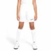 Детские шорты Nike Academy 21 CW6109-100, прев. 0